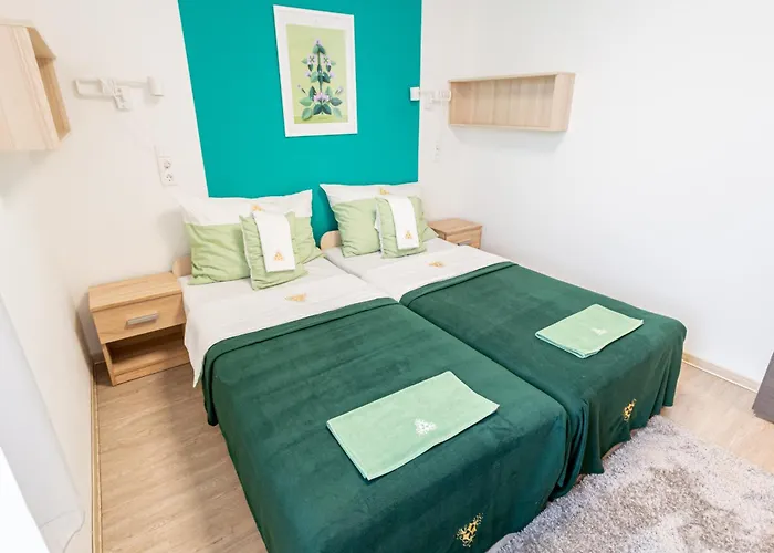 Hotel Feherliliom Vendegszallo 3*