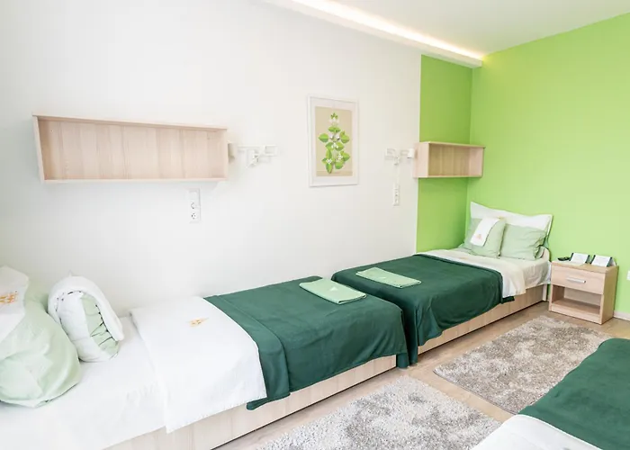 Hotel Feherliliom Vendegszallo Kondoros